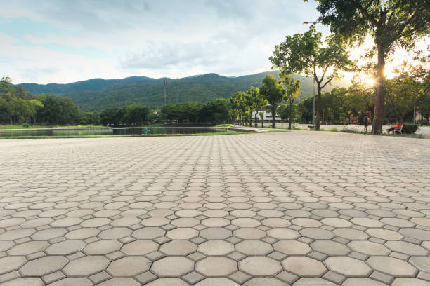 Best Affordable Driveway Paving  in Dumas, TX